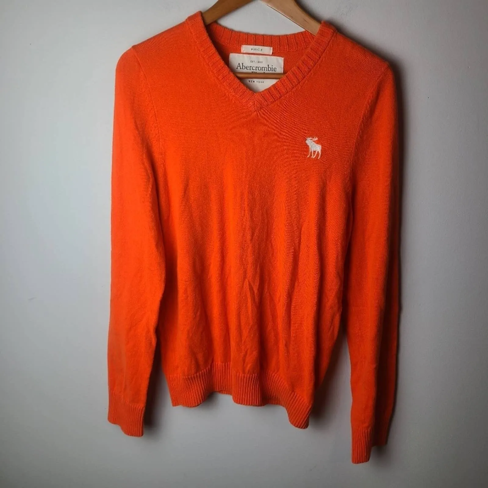 Abercrombie & Fitch Men's V neck Sweater