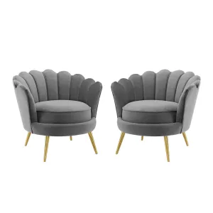 Admire Accent Armchair Performance Velvet Set of 2